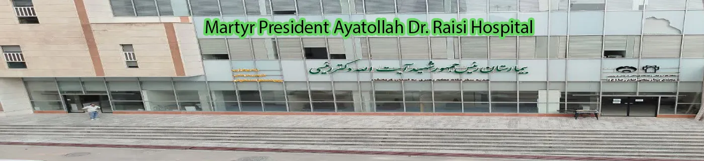 شهید رئیسی